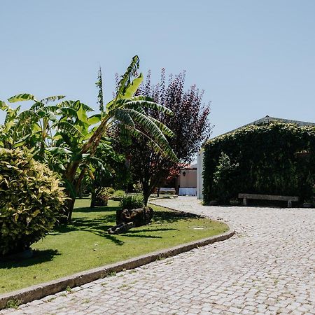 Casa Dos Meus Avos -Villas - Gaia & Porto Vila Nova de Gaia Zewnętrze zdjęcie