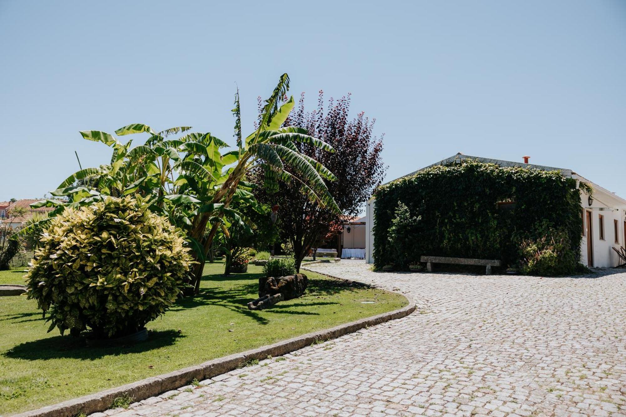 Casa Dos Meus Avos -Villas - Gaia & Porto Vila Nova de Gaia Zewnętrze zdjęcie